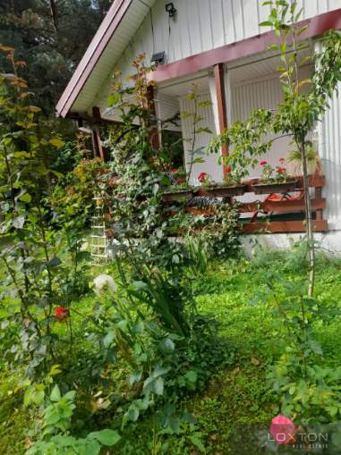 Działka Sprzedaż Piaski Duchowne 5