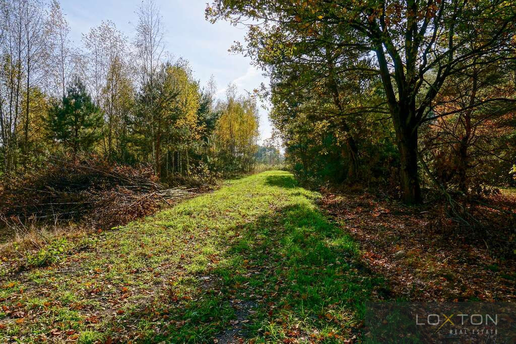 Puszcza Mariańska, ul. Akacjowa