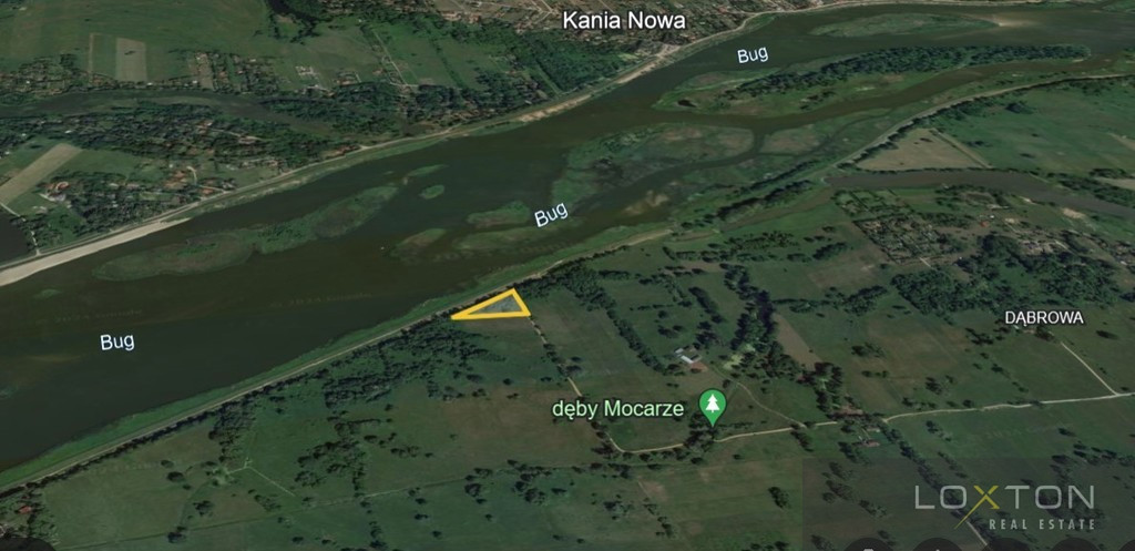 Działka Sprzedaż Arciechów 4