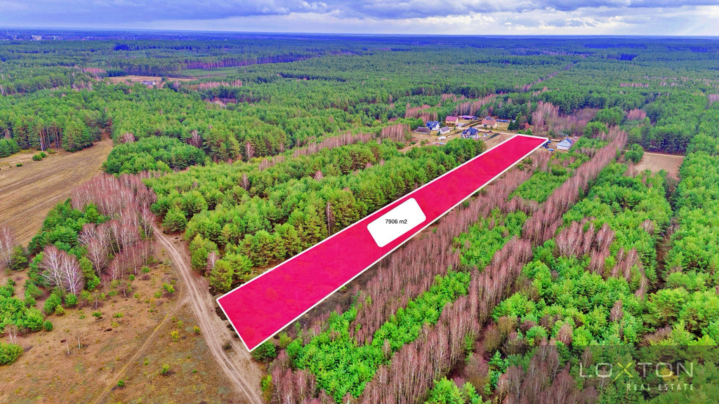 Działka Sprzedaż Kalinowo 13