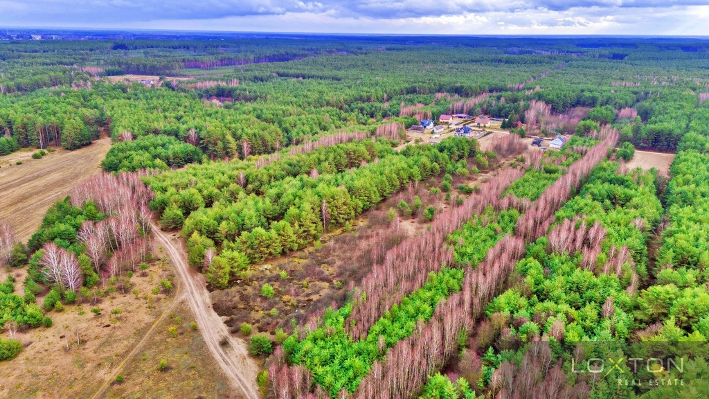 Działka Sprzedaż Kalinowo 21
