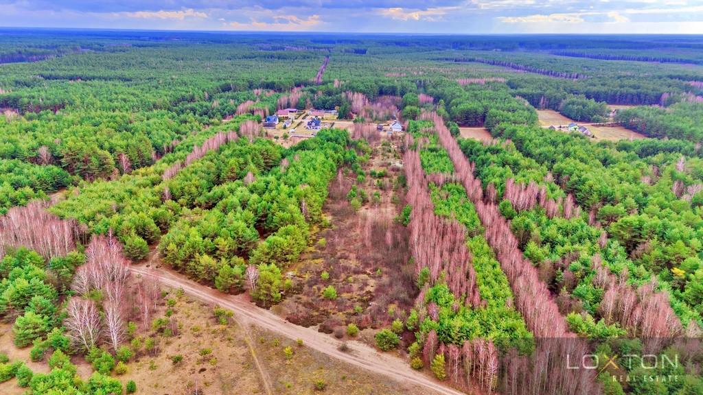 Działka Sprzedaż Kalinowo 22