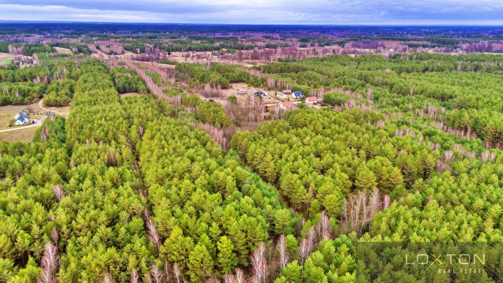 Działka Sprzedaż Kalinowo 26