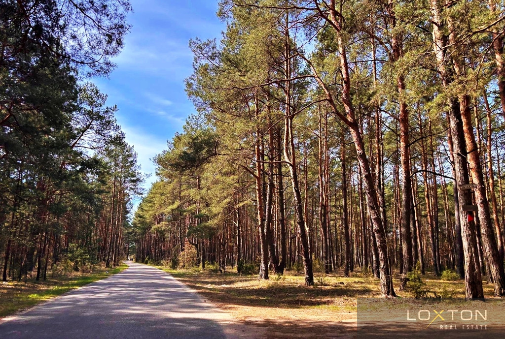 Działka Sprzedaż Kalinowo 6