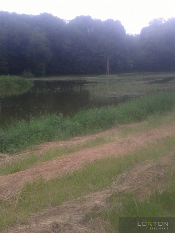 Działka Sprzedaż Pilaszkowice Pierwsze 4