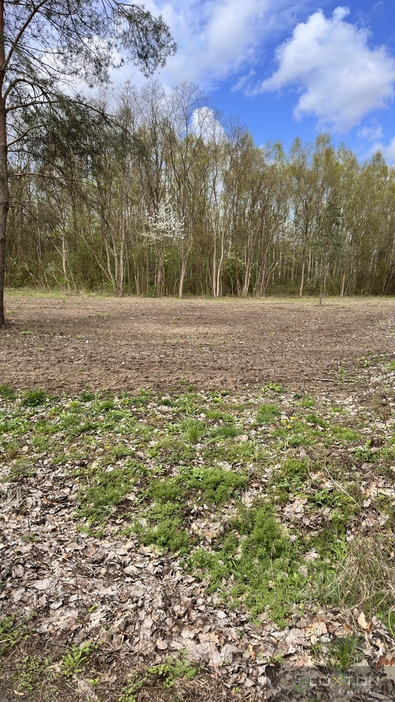 Działka Sprzedaż Kornelówka