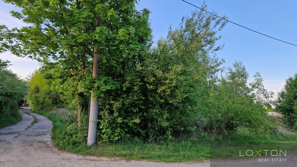 Działka Sprzedaż Dębina Pańska 4