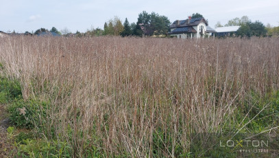 Działka Sprzedaż Czarnowo