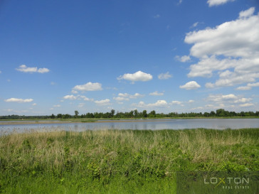 Działka Sprzedaż Arciechów