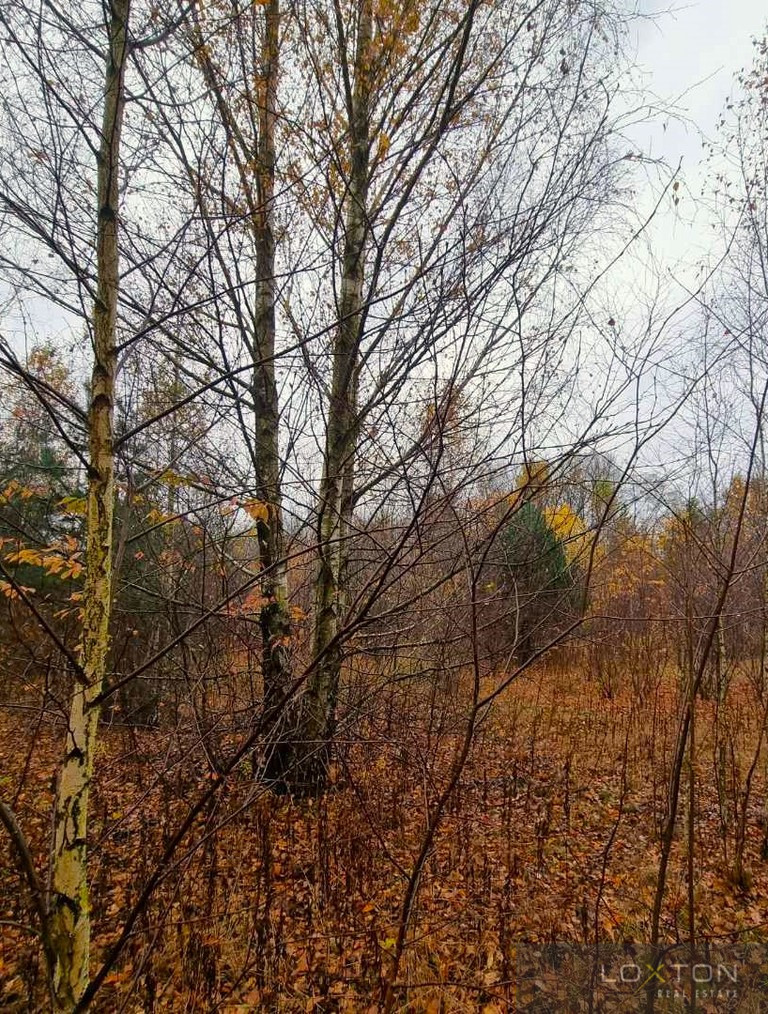 Działka Sprzedaż Glinianka