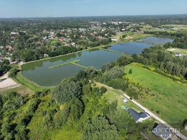 Działka Sprzedaż Kazimierów Różana