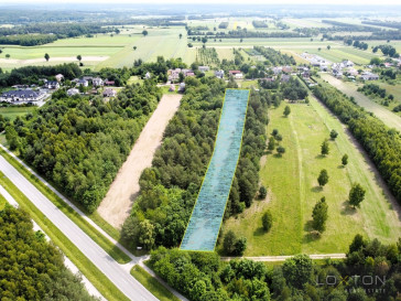Działka Sprzedaż Magonie