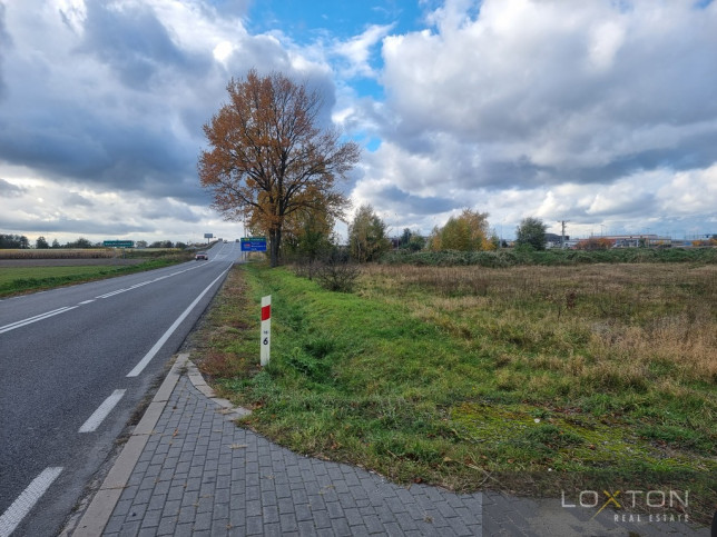 Działka Sprzedaż Pełczyska 2