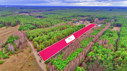 Działka Sprzedaż Kalinowo