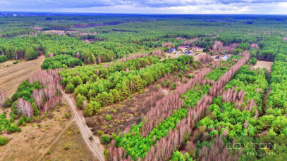 Działka Sprzedaż Kalinowo