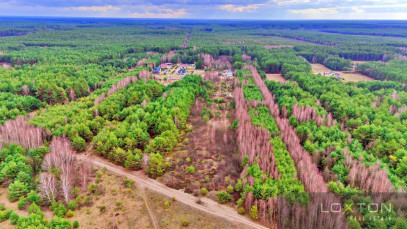 Działka Sprzedaż Kalinowo
