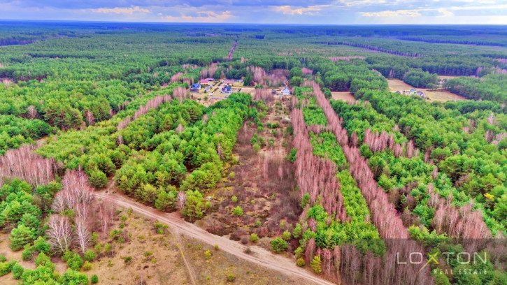 Działka Sprzedaż Kalinowo 22