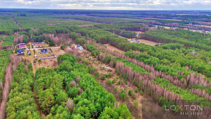Działka Sprzedaż Kalinowo 23