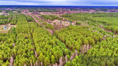 Działka Sprzedaż Kalinowo