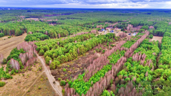 Działka Sprzedaż Kalinowo 19