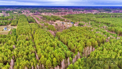 Działka Sprzedaż Kalinowo
