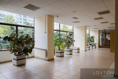 Mieszkanie Wynajem Warszawa Wola Aleja Jana Pawła II