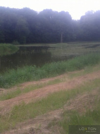 Działka Sprzedaż Pilaszkowice Pierwsze
