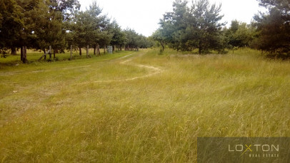 Działka Sprzedaż Kamień Pomorski