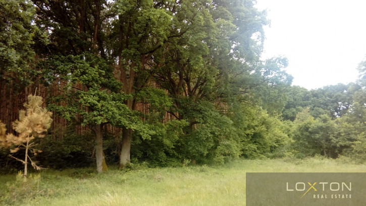 Działka Sprzedaż Kamień Pomorski 1
