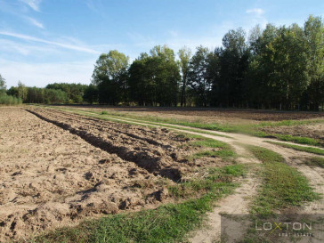Działka Sprzedaż Podgórze-Parcele