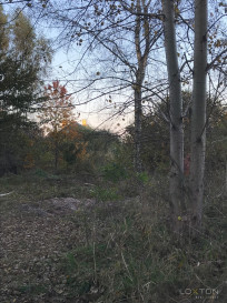 Działka Sprzedaż Górki