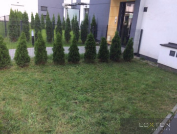 Mieszkanie Wynajem Warszawa Żoliborz Kaliny Jędrusik