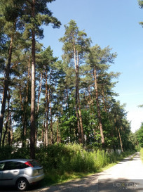 Działka Sprzedaż Magdalenka