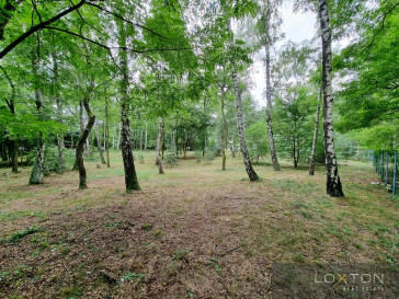 Działka Sprzedaż Książenice al.&nbsp;Sadowa