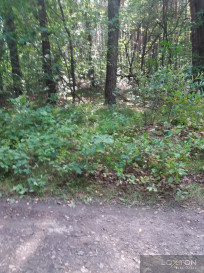 Działka Sprzedaż Magdalenka