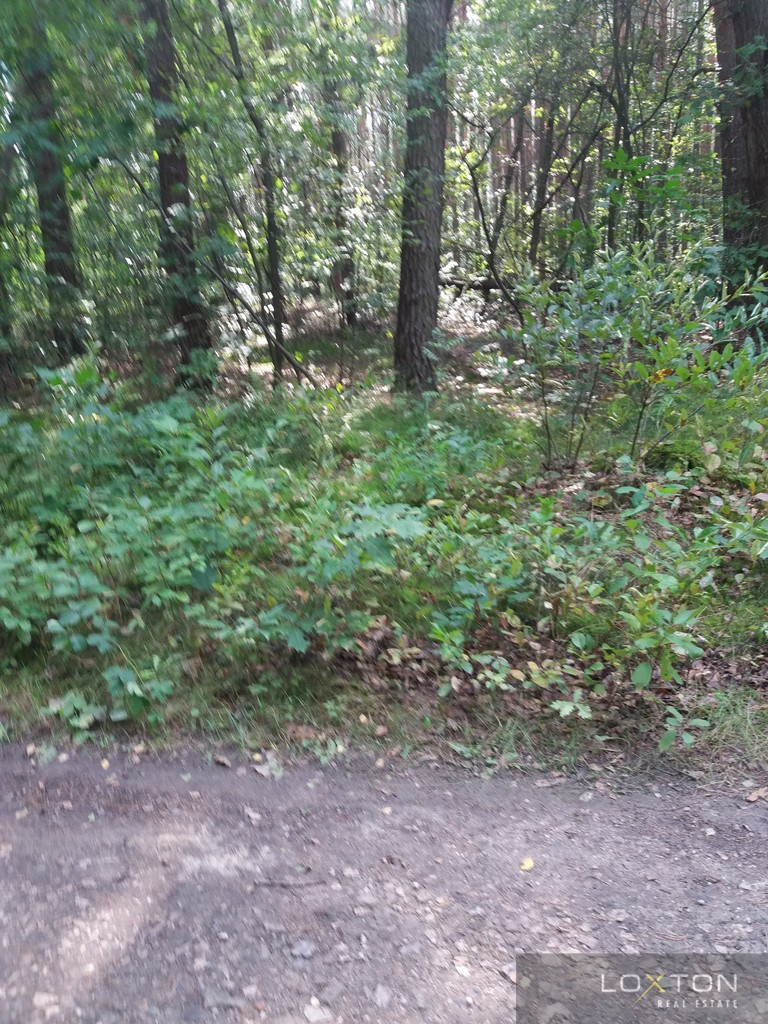 Działka Sprzedaż Magdalenka