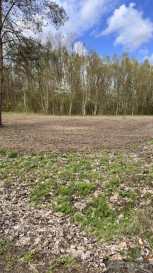 Działka Sprzedaż Kornelówka