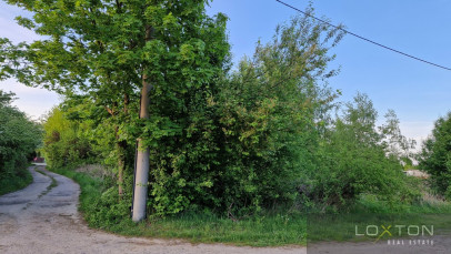 Działka Sprzedaż Dębina Pańska